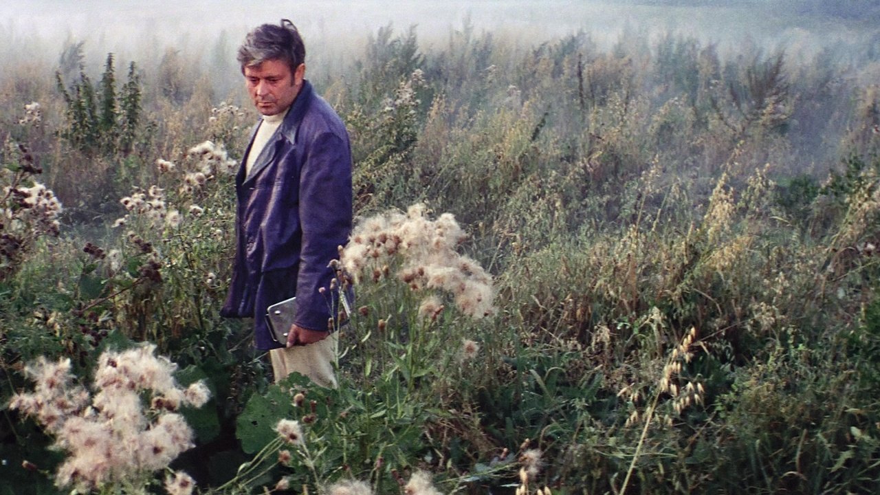 Rejecting what everyone expects, journeying to unknown space, and making one of the best movies ever with an unprecedented inner reality: Andrei Tarkovsky’s masterpiece, Solaris.